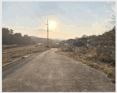  2025Ÿ��51953  �����