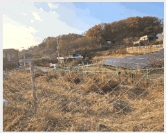  2025Ÿ��51953  �����