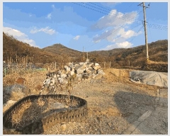  2025Ÿ��51953  �����