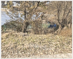  2025Ÿ��51953  �����