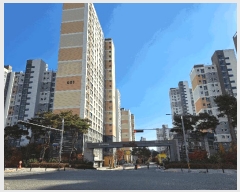  2025Ÿ��51988  ����Ʈ���