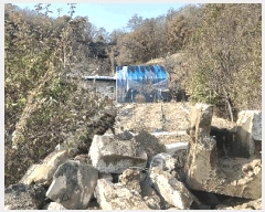  2025Ÿ��52003  �����