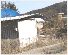  2025Ÿ��52003  �����