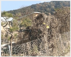  2025Ÿ��52003  �����