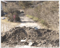  2025Ÿ��52003  �����