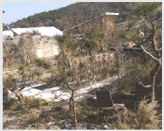  2025Ÿ��52003  �����