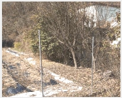  2025Ÿ��52003  �����