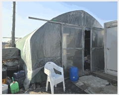  2025Ÿ��52015  �����