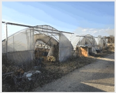  2025Ÿ��52015  �����