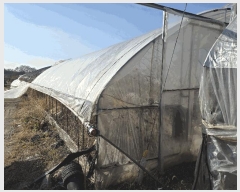  2025Ÿ��52015  �����