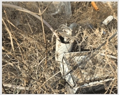  2025Ÿ��52015  �����