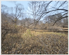  2025Ÿ��52030 ��� ���걺 ������ ���θ� 67      ����(��1)���