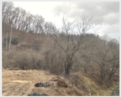  2025Ÿ��52030 ��� ���걺 ������ ���θ� 67      ����(��1)���