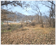  2025Ÿ��52030 ��� ���걺 ������ ���θ� 67      ����(��1)���