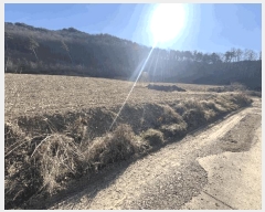  2025Ÿ��52055 ��� ������ ��ܸ� ��¸� 86      ����(��1)���