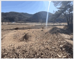  2025Ÿ��52055 ��� ������ ��ܸ� ��¸� 86      ����(��1)���