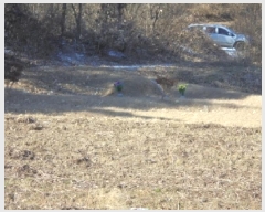  2025Ÿ��52055 ��� ������ ��ܸ� ��¸� 86      ����(��1)���