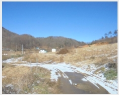  2025Ÿ��52055 ��� ������ ��ܸ� ��¸� 86      ����(��1)���