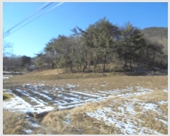  2025Ÿ��52055 ��� ������ ��ܸ� ��¸� 86      ����(��1)���