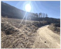  2025Ÿ��52055 ��� ������ ��ܸ� ��¸� 86      ����(��1)���