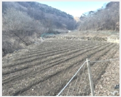  2025Ÿ��52117 ��� ���걺 ��ǳ�� ��ǳ�� 253      ����(��1)���