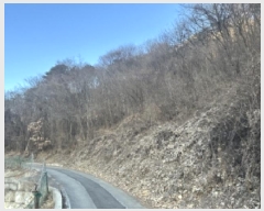  2025Ÿ��52117 ��� ���걺 ��ǳ�� ��ǳ�� 253      ����(��1)���