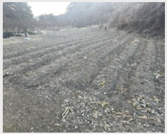  2025Ÿ��52117 ��� ���걺 ��ǳ�� ��ǳ�� 253      ����(��1)���