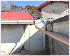  2025Ÿ��52194 ��� û�ֽ� ����� ��� 3-5      ����(����)���