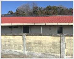  2025Ÿ��52194 ��� û�ֽ� ����� ��� 3-5      ����(����)���