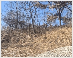  2025Ÿ��52201 ��� û�ֽ� û���� ���̸� �ݾϸ� 104-5     ����(��1)���