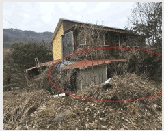  2025Ÿ955  걺   415      ð