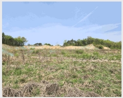  2025Ÿ��1873 ��� ���걺 ������ ������ ��3-1      ����(�Ӿ�)���