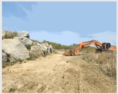  2025Ÿ��1873 ��� ���걺 ������ ������ ��3-1      ����(�Ӿ�)���