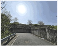  2025Ÿ��1965 ��� û�ֽ� ��籸 ������ ������ 393-2     ����(����)���