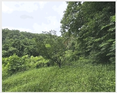  2025Ÿ��2067  �Ӿ߰��