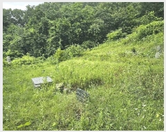  2025Ÿ��2067  �Ӿ߰��