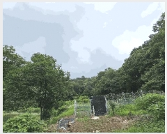  2025Ÿ��2067  �Ӿ߰��