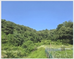  2025Ÿ��2067  �Ӿ߰��