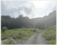  2025Ÿ��2067  �Ӿ߰��