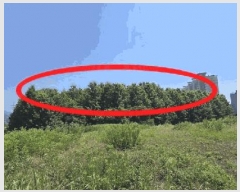  2025Ÿ2968  ûֽ û ̸  88-2     ()