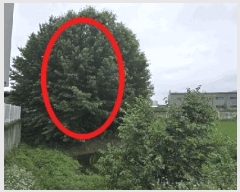  2025Ÿ2968  ûֽ û ̸  88-2     ()