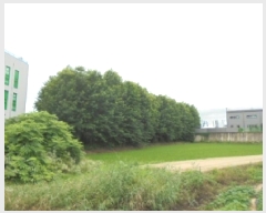  2025Ÿ2968  ûֽ û ̸  88-2     ()