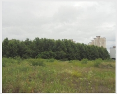  2025Ÿ2968  ûֽ û ̸  88-2     ()