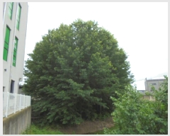  2025Ÿ2968  ûֽ û ̸  88-2     ()