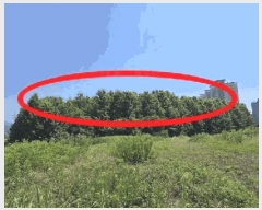  2025Ÿ2968  ûֽ û ̸  88-2     ()