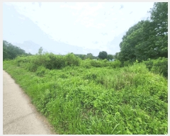  2025Ÿ3633  õ  ô 193      ()