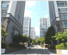  2025Ÿ��4049 ��� û�ֽ� ����� ���ϵ� 125 ���ϵ� ��渮���� ����Ʈ 104�� 11��1103ȣ ����Ʈ���