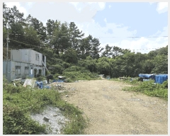  2025Ÿ��4346 ��� û�ֽ� û���� ��â�� ��θ� 286     ����(����)���