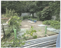  2025Ÿ��4346 ��� û�ֽ� û���� ��â�� ��θ� 286     ����(����)���