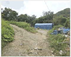  2025Ÿ��4346 ��� û�ֽ� û���� ��â�� ��θ� 286     ����(����)���